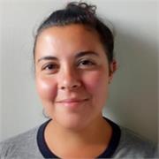 Laureata in Lettere offre lezioni di latino